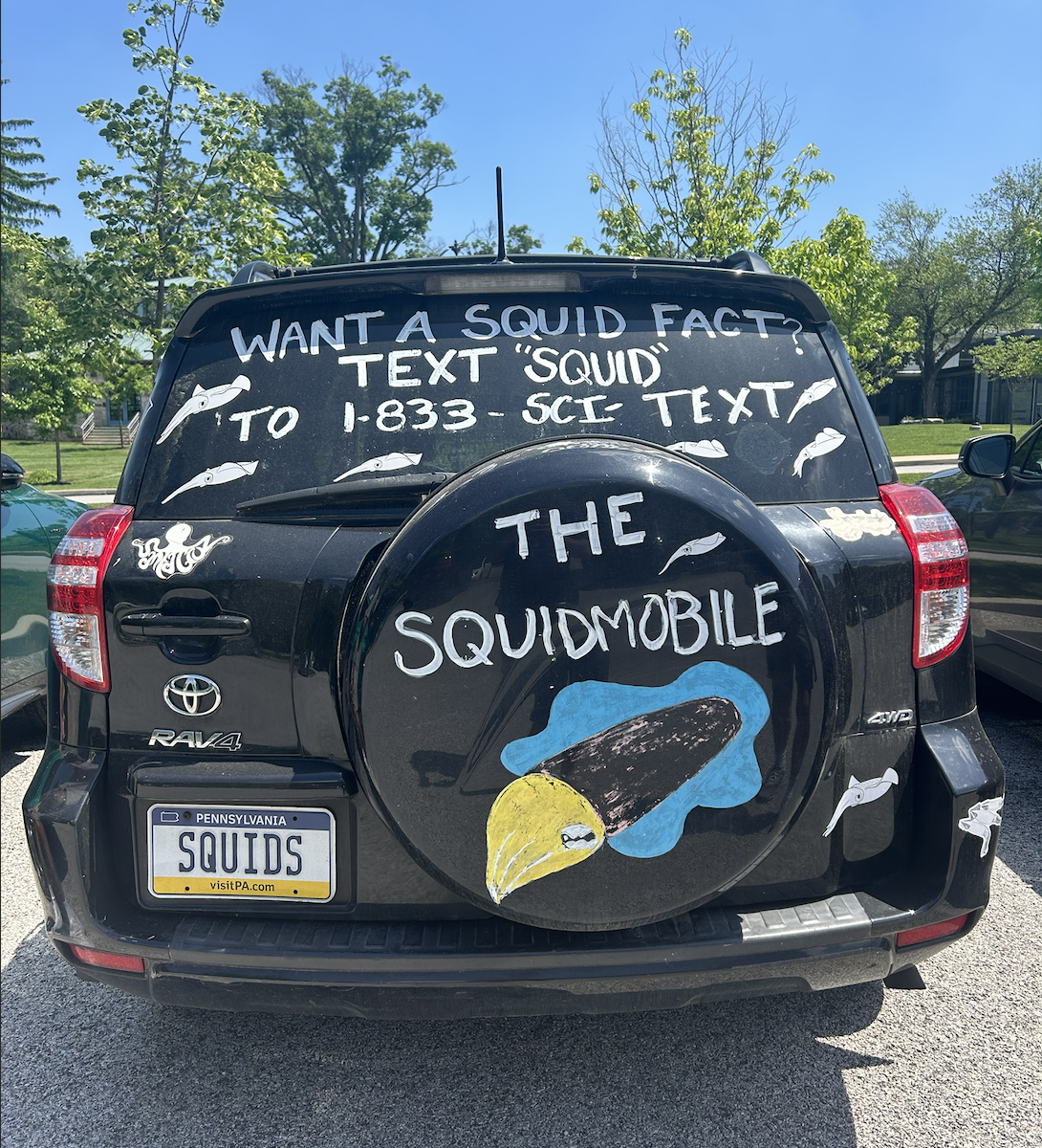 Have you seen the squid mobile?